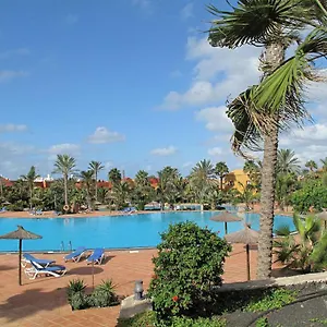 Gardenia, Oasis Tamarindo , Corralejo España